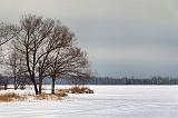 Frozen Lower Rideau Lake_21240